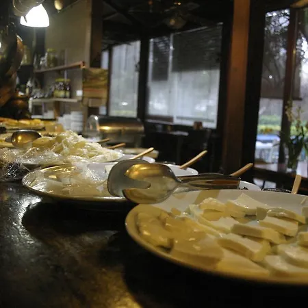 住宿加早餐酒店 Yorgo Seferis 4*